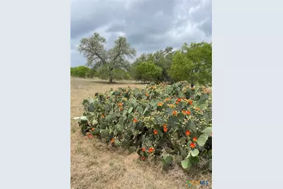 Lot 1 Hartfield Road, Seguin, TX 78155 - Photo 3