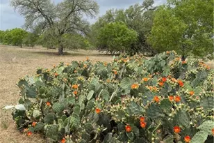 Lot 1 Hartfield Rd, Seguin, TX 78155 - Photo 3