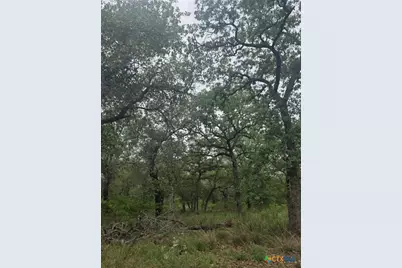 1060 Vivroux Ranch Road, Seguin, TX 78155 - Photo 9