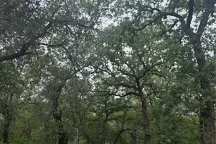 1060 Vivroux Ranch Rd, Seguin, TX 78155 - Photo 9