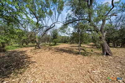 240 -A Caney Creek Road, New Braunfels, TX 78130 - Photo 9