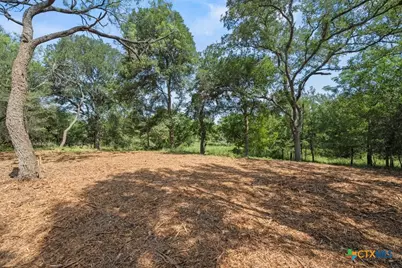 000 Lot 3 Caney Creek Road, New Braunfels, TX 78130 - Photo 7