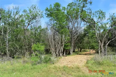 000 Lot 3 Caney Creek Road, New Braunfels, TX 78130 - Photo 3