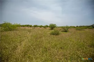 000 Green-Dewitt Rd, Cuero, TX 77954 - Photo 21