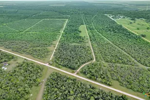 000 San Antonio River Rd, Victoria, TX 77905 - Photo 35