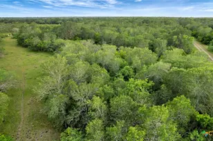 000 San Antonio River Rd, Victoria, TX 77905 - Photo 29