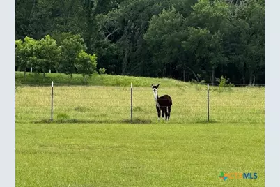 916 Stone Road, Temple, TX 76501 - Photo 23