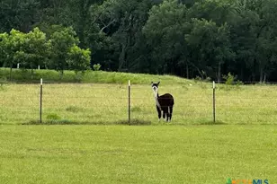 916 Stone Rd, Temple, TX 76501 - Photo 23