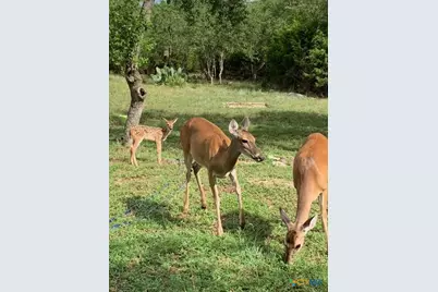 1111 Willis Way, San Marcos, TX 78666 - Photo 31