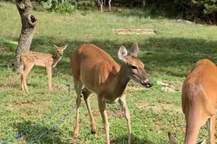 1111 Willis Way, San Marcos, TX 78666 - Photo 31