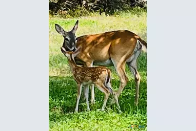 1111 Willis Way, San Marcos, TX 78666 - Photo 29