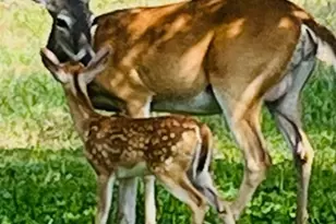 1111 Willis Way, San Marcos, TX 78666 - Photo 29