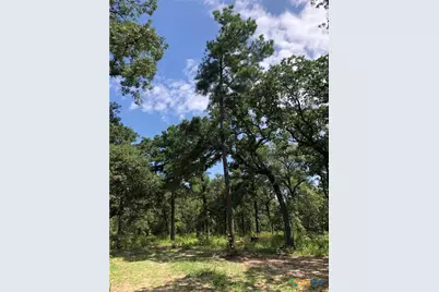 380 Private Road 6040, Cameron, TX 75620 - Photo 15