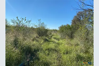 000 County Rd 407, Waelder, TX 78959 - Photo 11