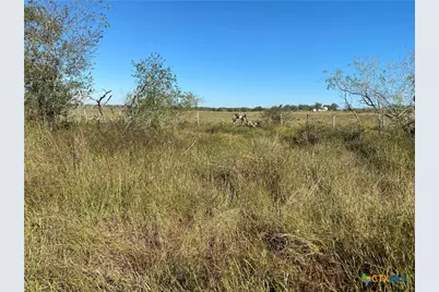 000 County Rd 407, Waelder, TX 78959 - Photo 19