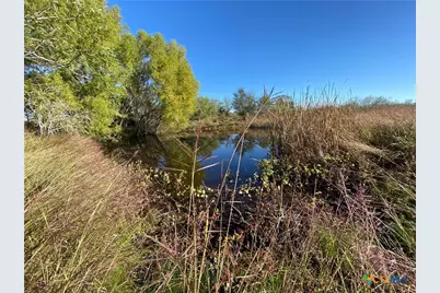 000 County Rd 407, Waelder, TX 78959 - Photo 29
