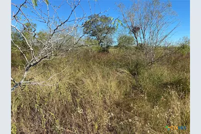 000 County Rd 407, Waelder, TX 78959 - Photo 15