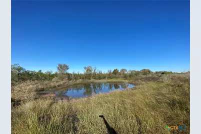 000 County Rd 407, Waelder, TX 78959 - Photo 9
