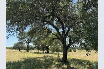 Lot 231 Winecup Drive, Lampasas, TX 76550 - Photo 3
