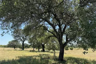 Lot 231 Winecup Dr, Lampasas, TX 76550 - Photo 3