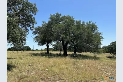 Lot 231 Winecup Drive, Lampasas, TX 76550 - Photo 9