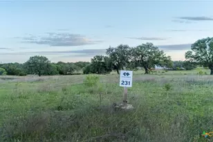 Lot 231 Winecup Dr, Lampasas, TX 76550 - Photo 23