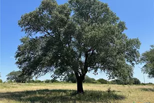 Lot 231 Winecup Dr, Lampasas, TX 76550 - Photo 5