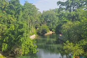 263 E Garden St, New Braunfels, TX 78130 - Photo 5