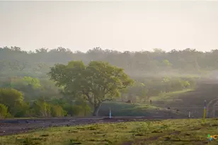 8440 State Hwy 239, Goliad, TX 77963 - Photo 29