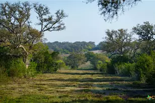 8440 State Hwy 239, Goliad, TX 77963 - Photo 31
