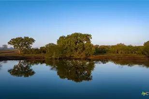 8440 State Hwy 239, Goliad, TX 77963 - Photo 9