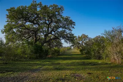 8440 State Highway 239, Goliad, TX 77963 - Photo 1