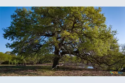 8440 State Highway 239, Goliad, TX 77963 - Photo 43