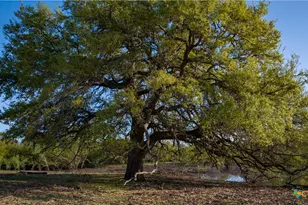 8440 State Hwy 239, Goliad, TX 77963 - Photo 43