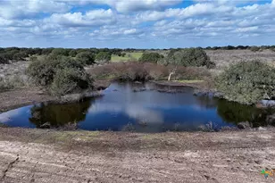 8440 State Hwy 239, Goliad, TX 77963 - Photo 13