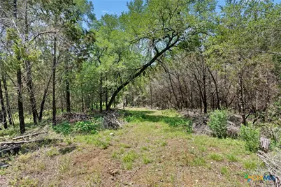 419 Valley View West Road, San Marcos, TX 78666 - Photo 9