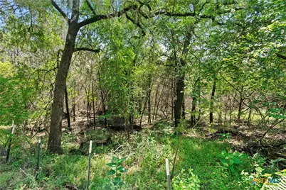 419 Valley View West Road, San Marcos, TX 78666 - Photo 13