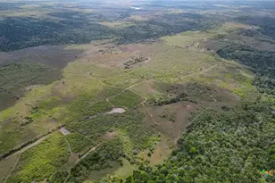 Tbd Sparta Field Rd, Waelder, TX 78959 - Photo 11