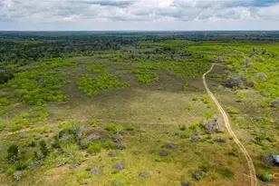 Tbd Sparta Field Rd, Waelder, TX 78959 - Photo 33