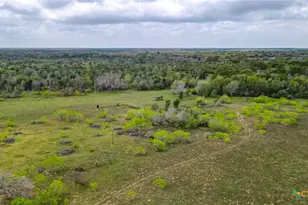 Tbd Sparta Field Rd, Waelder, TX 78959 - Photo 19