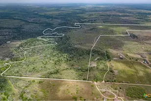 Tbd Sparta Field Rd, Waelder, TX 78959 - Photo 29