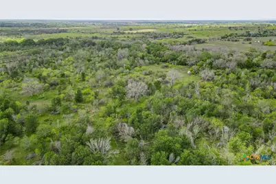 Tbd Sparta Field Road, Waelder, TX 78959 - Photo 27