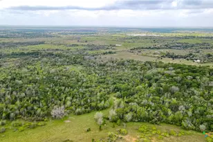 Tbd Sparta Field Rd, Waelder, TX 78959 - Photo 17