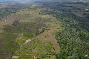 Tbd Sparta Field Rd, Waelder, TX 78959 - Photo 9