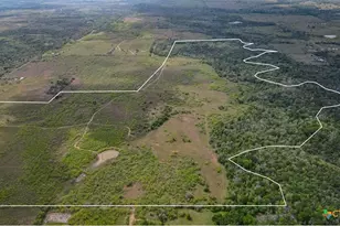 Tbd Sparta Field Rd, Waelder, TX 78959 - Photo 3