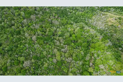 Tbd Sparta Field Road, Waelder, TX 78959 - Photo 13