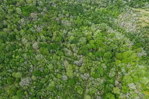 Tbd Sparta Field Rd, Waelder, TX 78959 - Photo 13