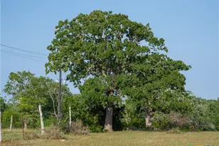 Tbd Kirk Corners, Harwood, TX 78632 - Photo 23
