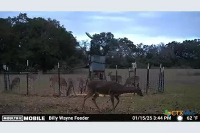 Tbd Kirk Corners, Harwood, TX 78632 - Photo 15