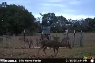 Tbd Kirk Corners, Harwood, TX 78632 - Photo 15